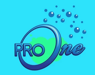 Logo Sabun ProOne